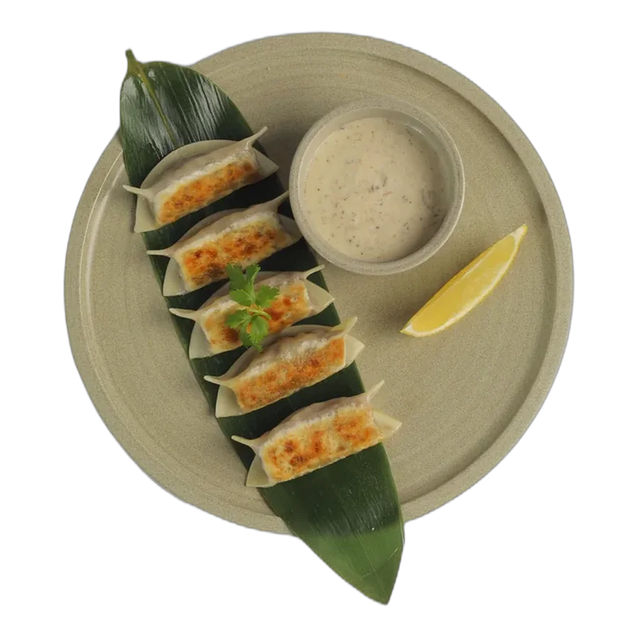 Beef Gyoza