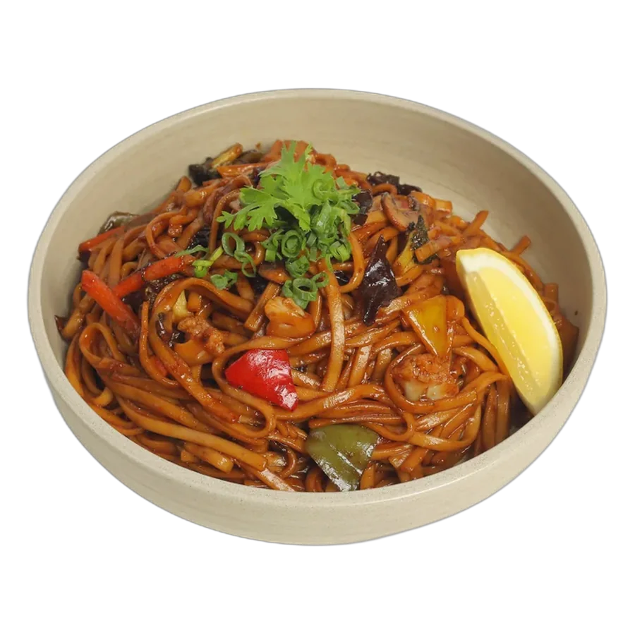 UDON Noodles