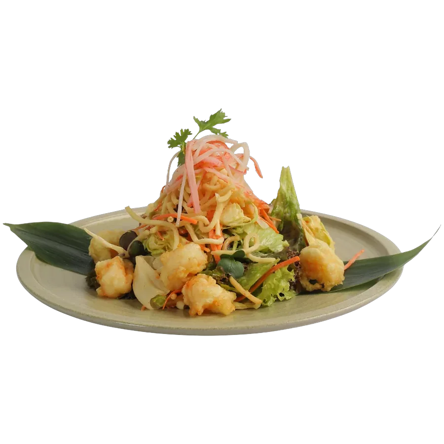 Ryoken Salad